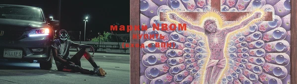 mdpv Новодвинск