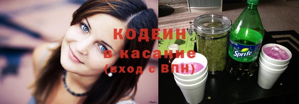 амф Новозыбков