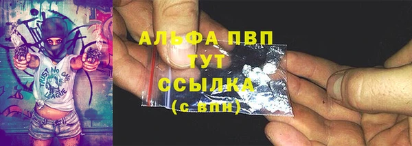 амф Новозыбков