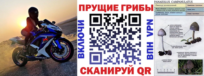 Галлюциногенные грибы прущие грибы  Ак-Довурак 